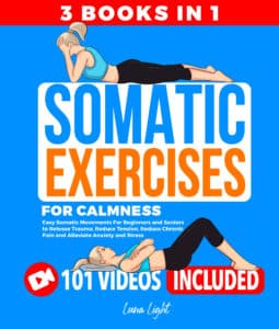V Kindle ebook cover somatic