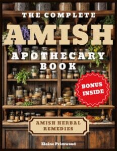 AMISH x Book Cover