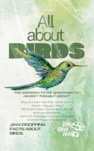 Birds Kindle Cover