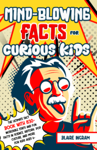 ebook cover image